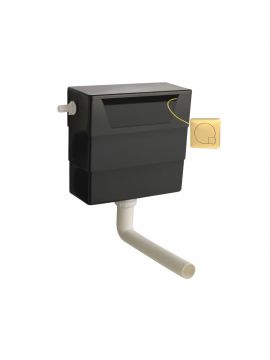 Universal Access Single Inlet Dual Flush Concealed Cistern & Brushed Brass Square Flush Plate